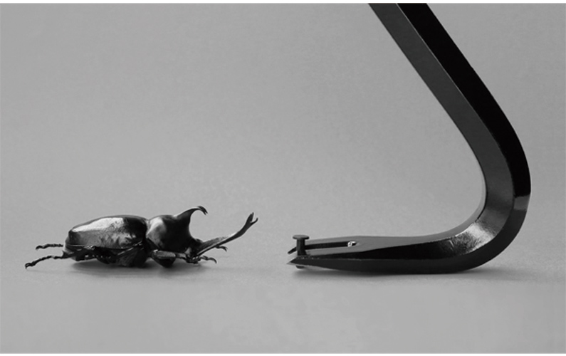 Keita Suzuki "Wisdom of Insects, Innovation of Human" (work in progress image)