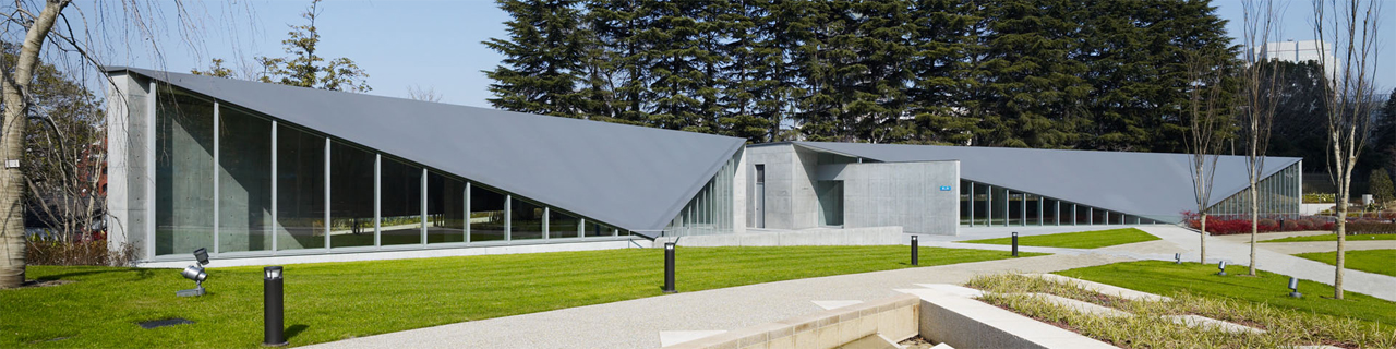 Amid Impasto of Colors